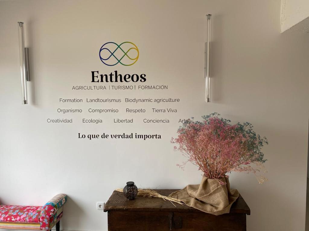 Entheos Vandrarhem Lerin Exteriör bild